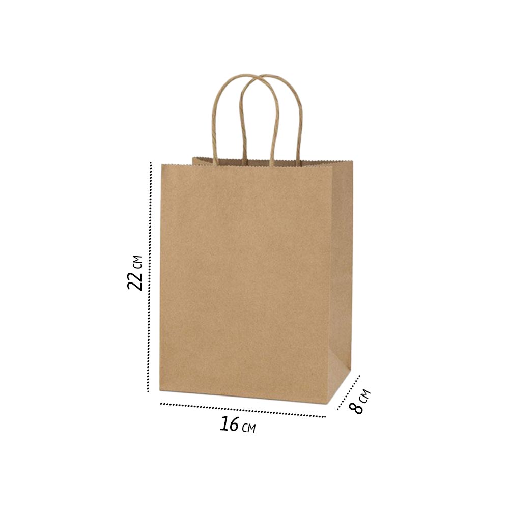 Bolsa de papel kraft M 27 x 22 x 11 cm (12 und.)