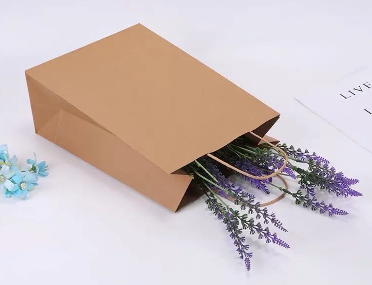 Bolsa de papel kraft M 27 x 22 x 11 cm (12 und.)